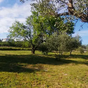 S&m Campingplatz